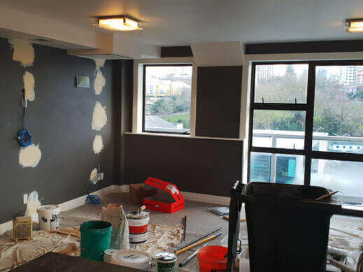 residential painters auckland
